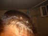 P1000169.JPG