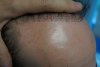 DSC04179.JPG