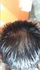 2ACD2306-C228-4A4C-A4E7-5CF9AFAC0C25.jpeg 2ACD2306-C228-4A4C-A4E7-5CF9AFAC0C25.jpeg