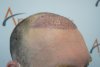DSC01565.jpg