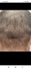 Screenshot_2021-09-04-22-37-12-561_com.android.chrome.jpg