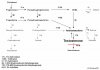 600px-Test_biosynth_5ARD2.jpg 600px-Test_biosynth_5ARD2.jpg