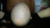 20150616_085938.jpg