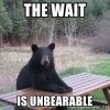 the-wait-is-unbearable.jpg