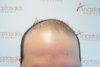 DSC05725.JPG