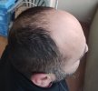 profil deks.jpg