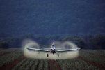 crop-dusting.jpg