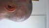 20151120_141656.jpg