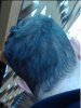 IMG_20160110_163623.jpg