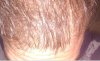 IMG_20160119_164736.jpg