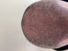 IMG_0052.jpeg