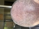 IMG_0009.jpeg