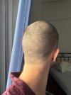 IMG_0480.jpeg