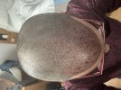 IMG_0316.jpeg