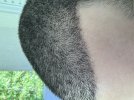 IMG_0671.jpeg
