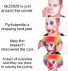 zmrvfuvqbf8d1.jpeg