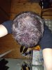 20160204_000633.jpg