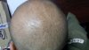 20160219_105452.jpg