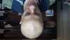 20160219_111634.jpg