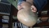 20160219_111704.jpg