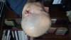 20160219_111725.jpg