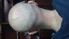 20160219_111815.jpg