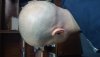 20160219_111911.jpg
