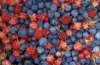 berries-contain-calcium-d-glucarate-which-removes-estrogen-from-male-body-250x162.jpg