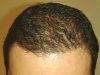 DSC05478.JPG