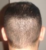 DSC05628.JPG
