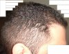 DSC05671.JPG