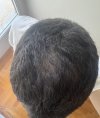 IMG_1317.jpeg