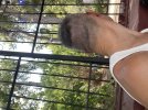 IMG_1139.jpeg