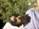 IMG_3496.jpeg