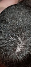 Screenshot_20240905_135059_Gallery.jpg