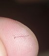 20240922_193408(0).jpg