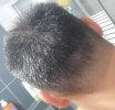 IMG_20240924_170744.jpg