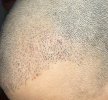 IMG_0503.jpeg