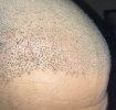 IMG_0504.jpeg