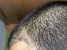 IMG_0605.jpeg