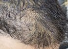 IMG_0714.jpeg