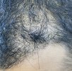 IMG_0712.jpeg