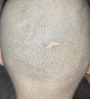 IMG_0497.jpeg