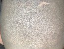 IMG_0496.jpeg