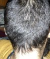 IMG_0825.jpeg