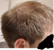 1732701608202.png 1732701608202.png