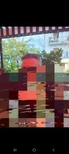 Screenshot_20241207_202046_Gallery.jpg
