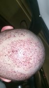 VideoCapture_20250109-193118.jpg