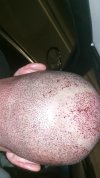 VideoCapture_20250109-193349.jpg