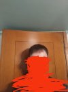 IMG_20250131_132009.jpg